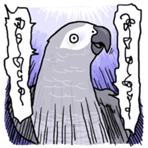 Cockatiel and Grey Parrot sticker #7242180