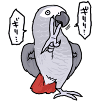 Cockatiel and Grey Parrot sticker #7242185