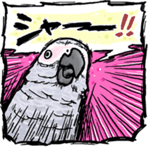 Cockatiel and Grey Parrot sticker #7242188