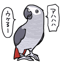 Cockatiel and Grey Parrot sticker #7242189