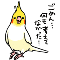 Cockatiel and Grey Parrot sticker #7242201