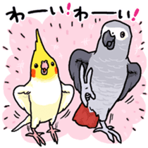 Cockatiel and Grey Parrot sticker #7242204
