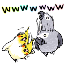 Cockatiel and Grey Parrot sticker #7242206
