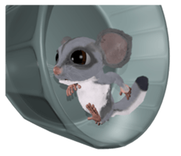 3D Animal Mon vol.2 sticker #7243646