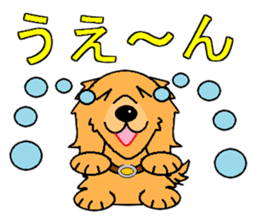 I Love Golden Retriever sticker #7243697