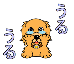I Love Golden Retriever sticker #7243699