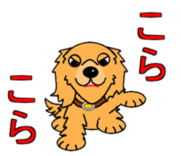 I Love Golden Retriever sticker #7243714