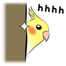 Feelings of Cockatiel (English) sticker #7243856