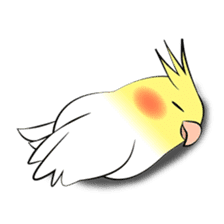 Feelings of Cockatiel (English) sticker #7243874