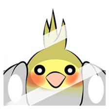 Feelings of Cockatiel (English) sticker #7243884