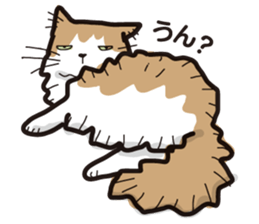 MOF MOF cat sticker #7244609