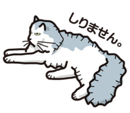 MOF MOF cat sticker #7244620