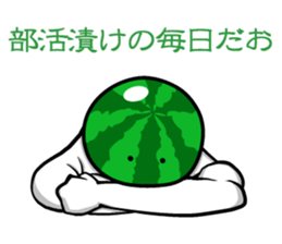 Everyone loves watermelon man!2.2 sticker #7245548