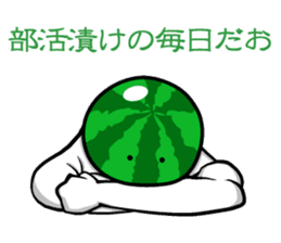 Everyone loves watermelon man!2.2 sticker #7245548