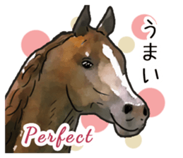 Watercolor horse sticker sticker #7246252