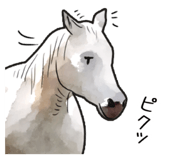 Watercolor horse sticker sticker #7246268