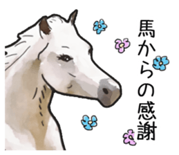 Watercolor horse sticker sticker #7246277