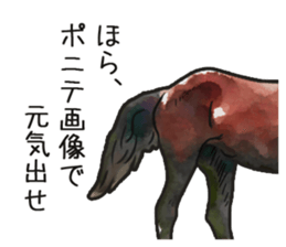 Watercolor horse sticker sticker #7246284