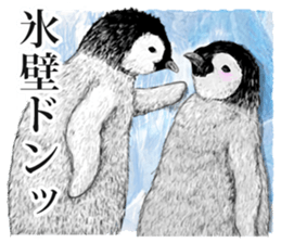 co penguin 2 sticker #7246571