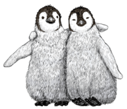 co penguin 2 sticker #7246574