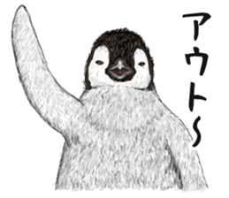 co penguin 2 sticker #7246578