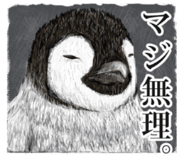 co penguin 2 sticker #7246579