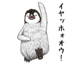 co penguin 2 sticker #7246585