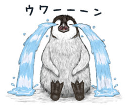 co penguin 2 sticker #7246587