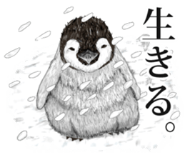 co penguin 2 sticker #7246589