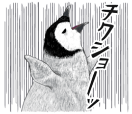 co penguin 2 sticker #7246593