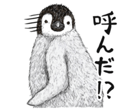 co penguin 2 sticker #7246594