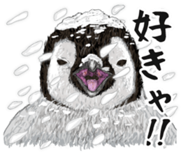 co penguin 2 sticker #7246596