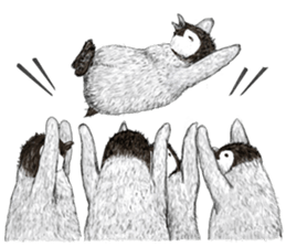 co penguin 2 sticker #7246599