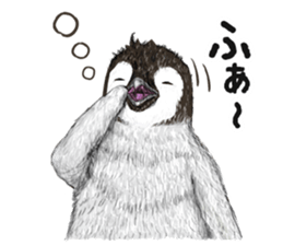 co penguin 2 sticker #7246600