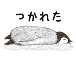 co penguin 2 sticker #7246601