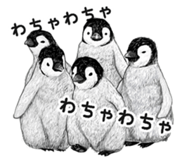 co penguin 2 sticker #7246605