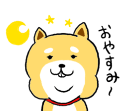 Kawaii Shiba sticker #7248889