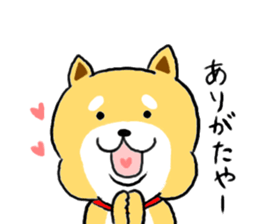 Kawaii Shiba sticker #7248891