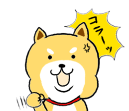 Kawaii Shiba sticker #7248893