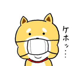 Kawaii Shiba sticker #7248895