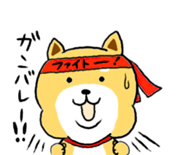 Kawaii Shiba sticker #7248897