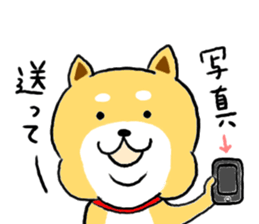 Kawaii Shiba sticker #7248899