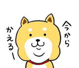 Kawaii Shiba sticker #7248902