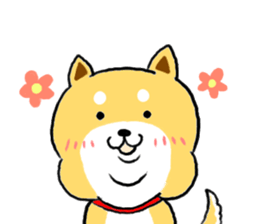 Kawaii Shiba sticker #7248907