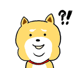 Kawaii Shiba sticker #7248916