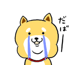Kawaii Shiba sticker #7248924