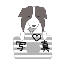 Love Love Border collies! 6 sticker #7249958