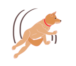 Dancing Dog SHIBA sticker #7250055