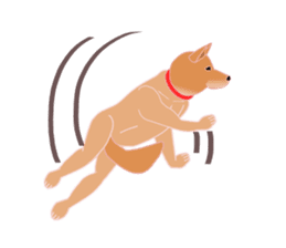 Dancing Dog SHIBA sticker #7250055