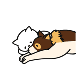 Intently sleepy cat sticker #7250577